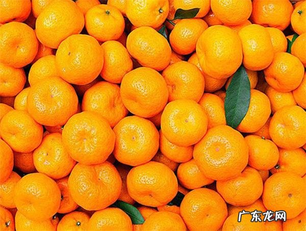 蜜橘功效功效与作用