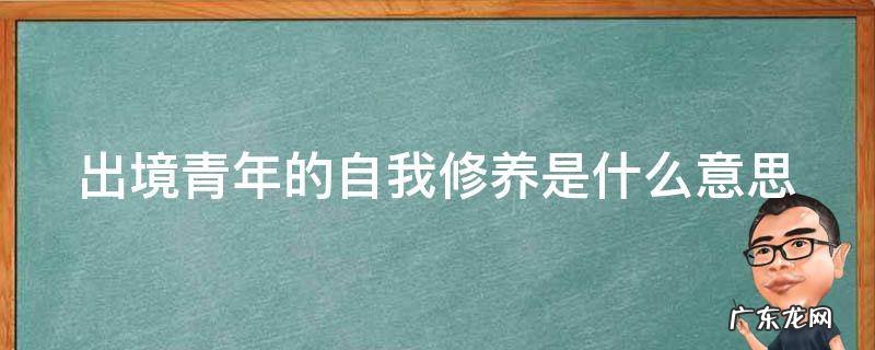 出境青年的自我修养是什么意思