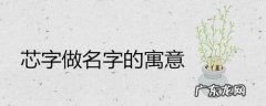 可芯名字的含义