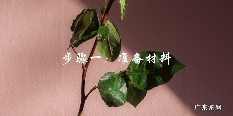 高压锅煲排骨视频教程,轻松学会做法!