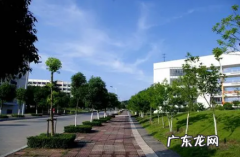 武汉几月份穿短袖 武汉11月要穿长袖了吗