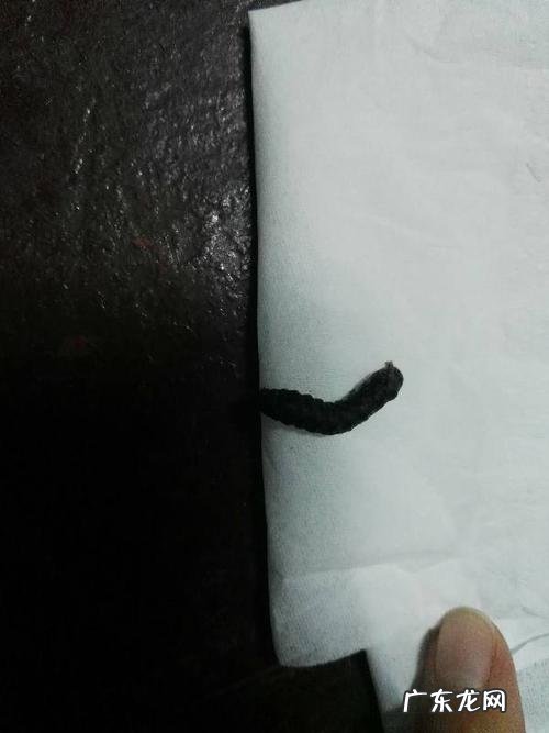 猫窝里蠕动黑色的虫子,这是什么?猫:我太难了!
