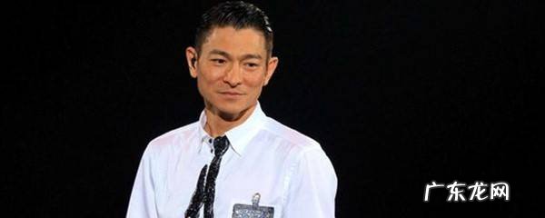 刘德华演胖子的电影叫什么名字