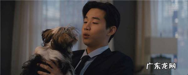 电影一条狗的使命2刘宪华饰演什么角色