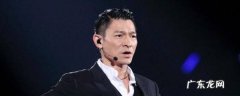 刘德华演的杀手的是什么电影