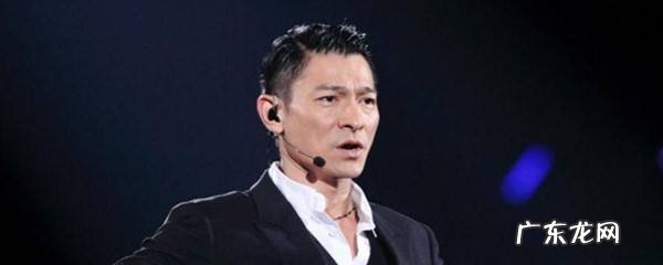 刘德华演的杀手的是什么电影