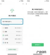 微信监护人有什么功能
