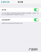 苹果调节亮度在哪