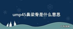 ump45鼻梁骨是什么意思