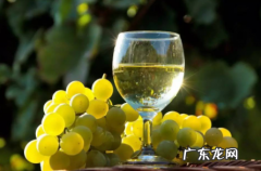 自制萄萄酒怎样杀菌 自己酿的葡萄酒怎么灭菌