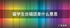 留学生合唱团是什么意思