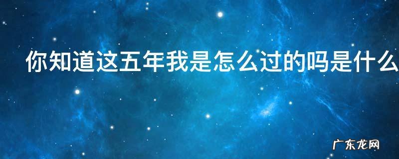 你知道这五年我是怎么过的吗是什么意思