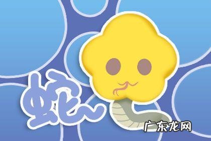 属蛇一生有几次婚姻