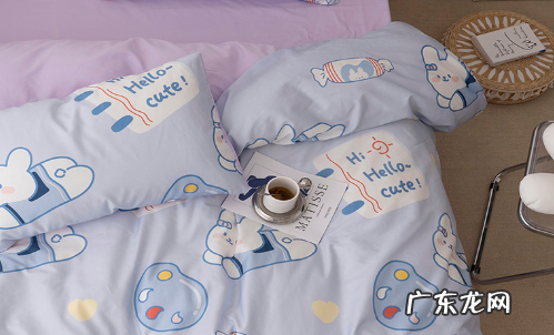 床上有黑色硬壳小虫子类似小瓢虫 床上有黑色硬壳小虫子是什么虫