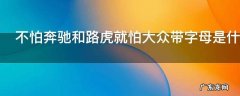 不怕奔驰和路虎就怕大众带字母是什么意思
