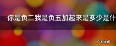 你是负二我是负五加起来是多少是什么意思