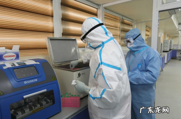 核酸检测为什么要混检 核酸检测混检需要自己凑人吗