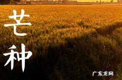 芒种出生的男孩起名 80个男孩好寓意名字