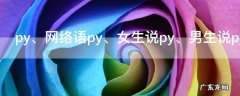 py是什么意思