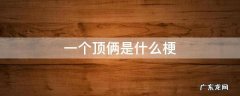 一个顶俩是什么梗