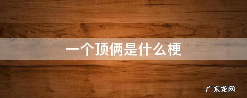 一个顶俩是什么梗