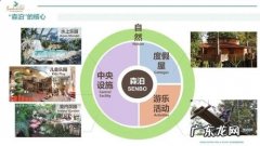 微度假模式规划——微度假是什么