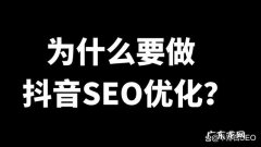 抖音seo是什么