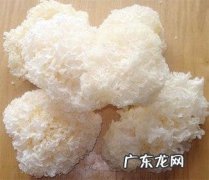 白木耳要煮多久才熟