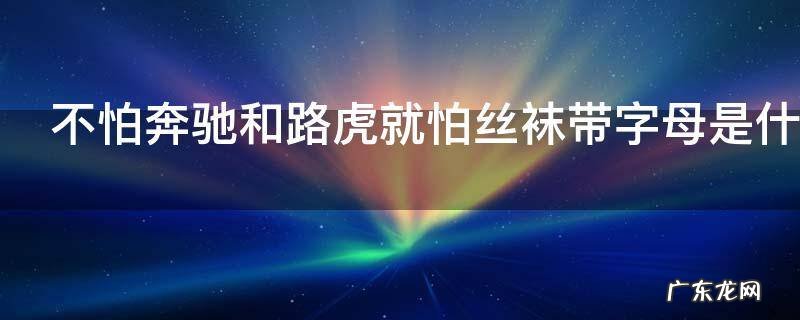 不怕奔驰和路虎就怕丝袜带字母是什么意思