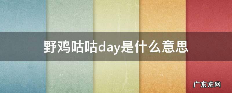 野鸡咕咕day是什么意思