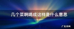 ?几个菜啊喝成这样是什么意思
