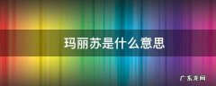 ?玛丽苏是什么意思
