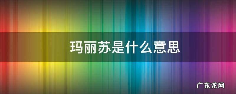 ?玛丽苏是什么意思