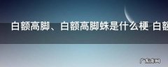 白额高脚蛛是什么梗
