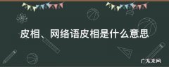 皮相是什么意思