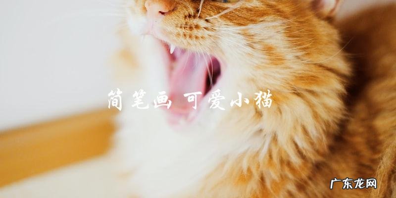 如何画出可爱的小猫简笔画?