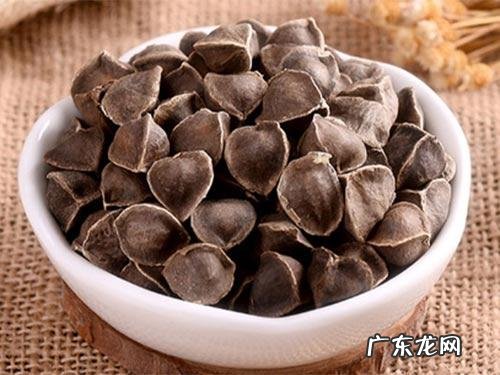 辣木籽的功效与作用