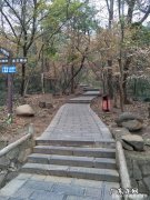 合肥大蜀山哪个门可以推车上去