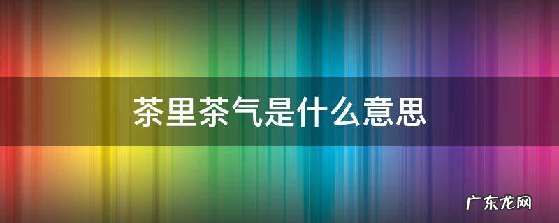 茶里茶气是什么意思