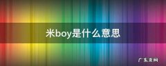 米boy是什么意思