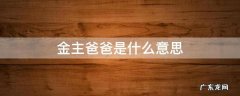 金主爸爸是什么意思
