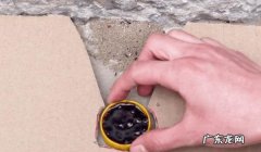 宿舍蚂蚁多怎么彻底清除