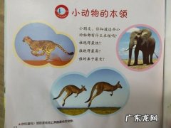 各种小动物的特殊本领