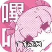 哔咔是什么软件