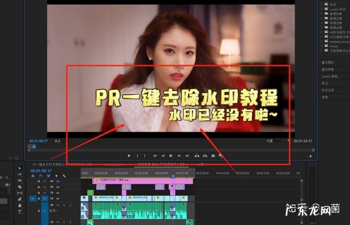 pr怎么给视频打马赛克