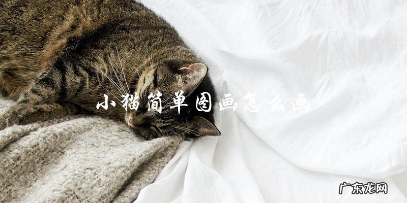 如何画出简单的小猫图画？