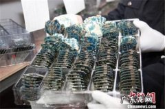 旧手机怎么卖才安全
