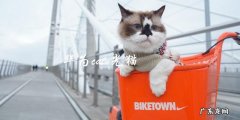 华为catv光猫是什么？如何选择适合自己的华为catv光猫？
