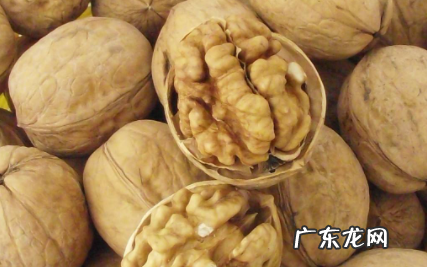 文玩核桃是吃的核桃嘛 文玩核桃和吃的核桃一样吗