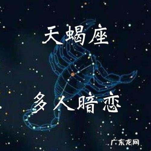 让天蝎唯一珍惜的星座